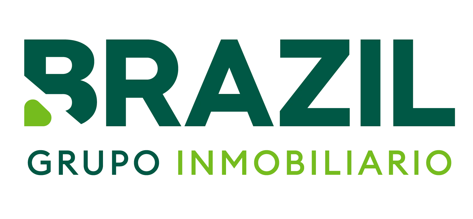 BRAZIL logo