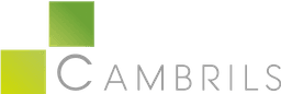 Company Logo 2